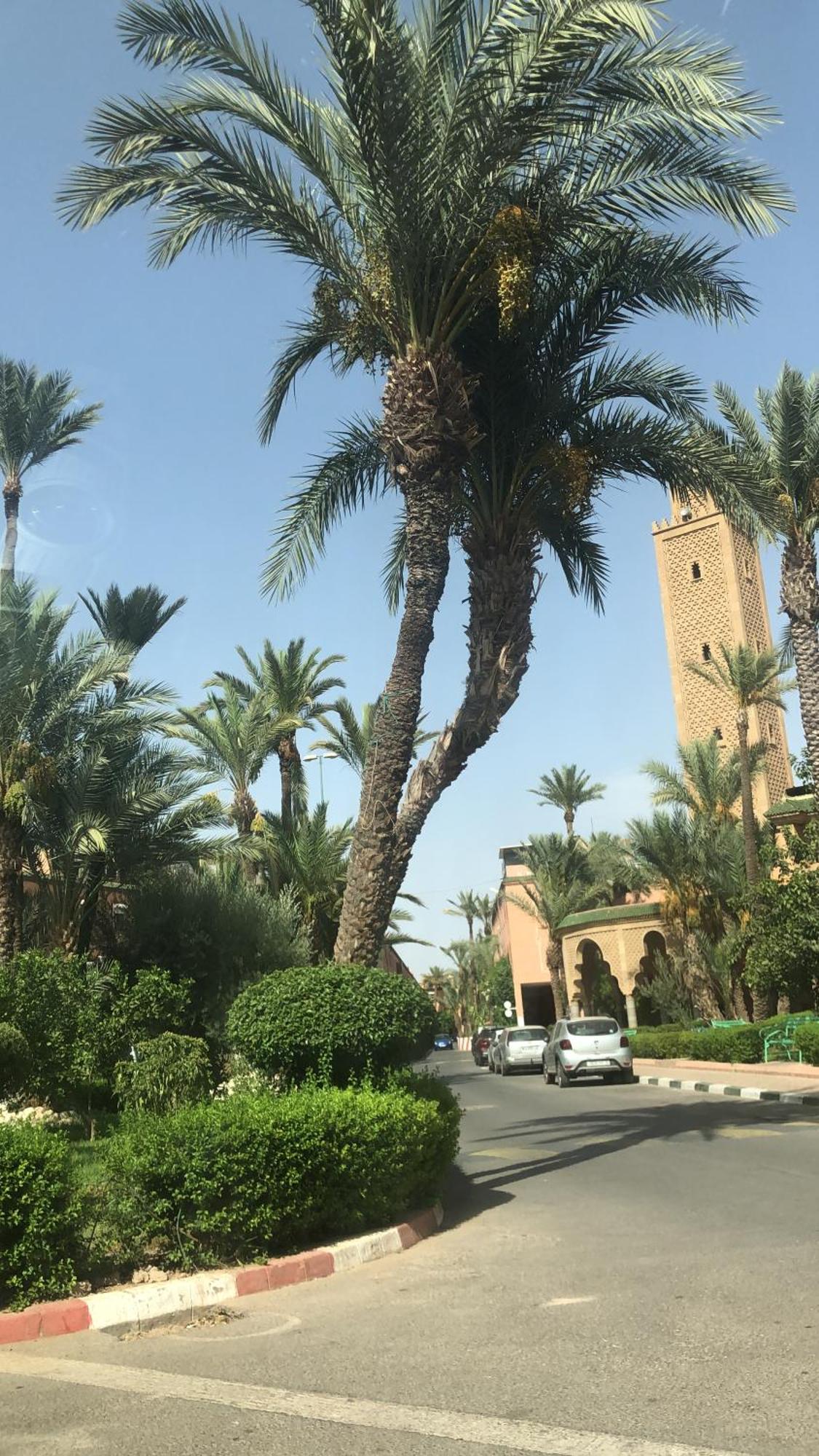 Riad Lyna Marrakesh Buitenkant foto